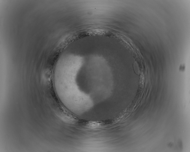 X0000096380701200802071513