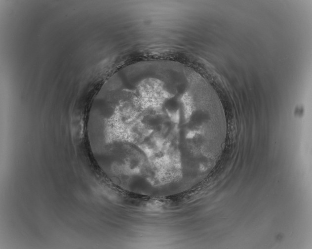 X0000096380703200802071513