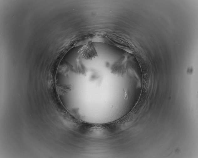 X0000096380704200802071513