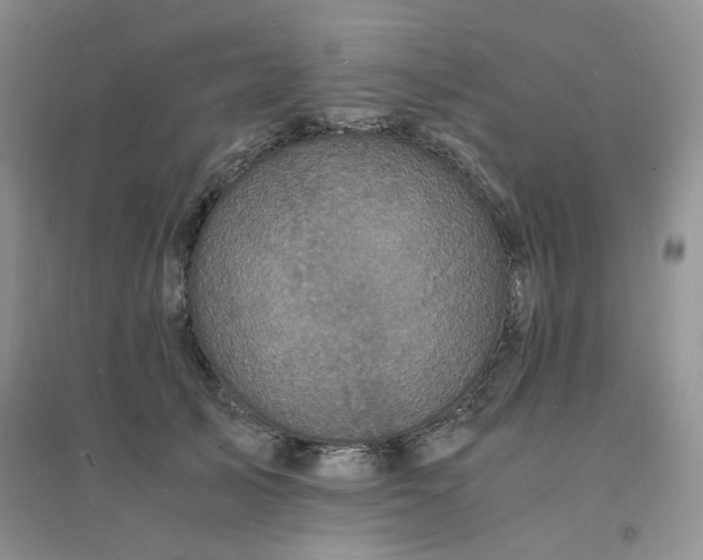 X0000096380705200802071513