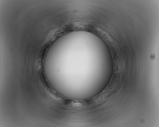 X0000096380706200802071513