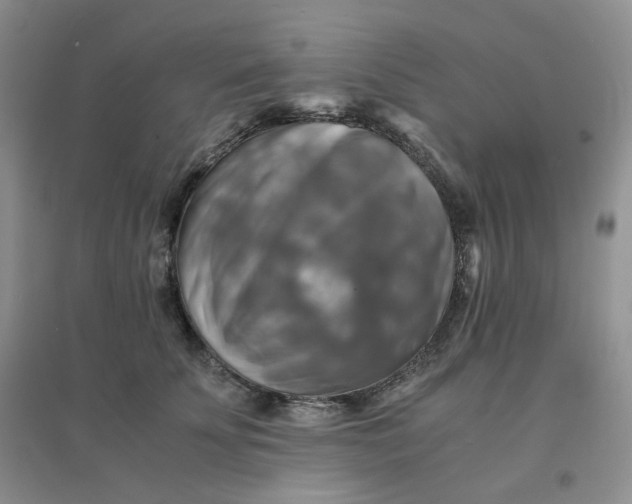 X0000096380707200802071513