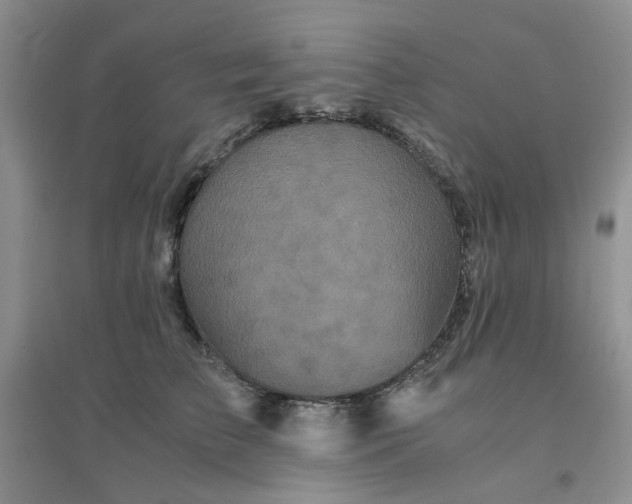 X0000096380709200802071513