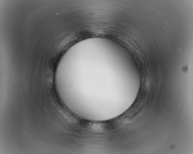 X0000096380710200802071513