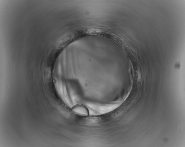 X0000096380711200802071513