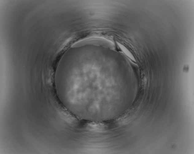 X0000096380712200802071513