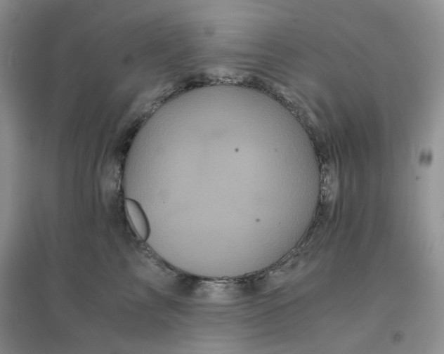 X0000096380713200802071513