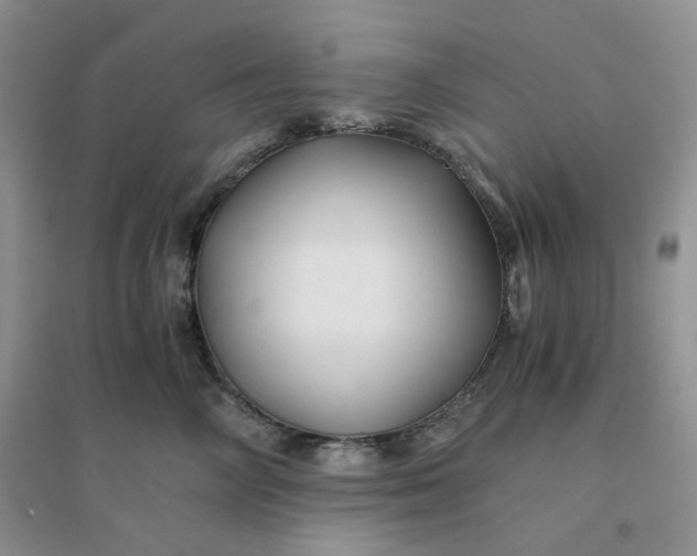 X0000096380714200802071513