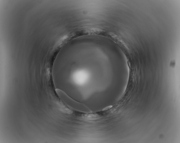 X0000096380716200802071513