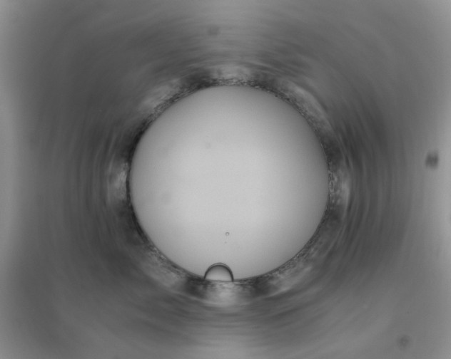 X0000096380717200802071513