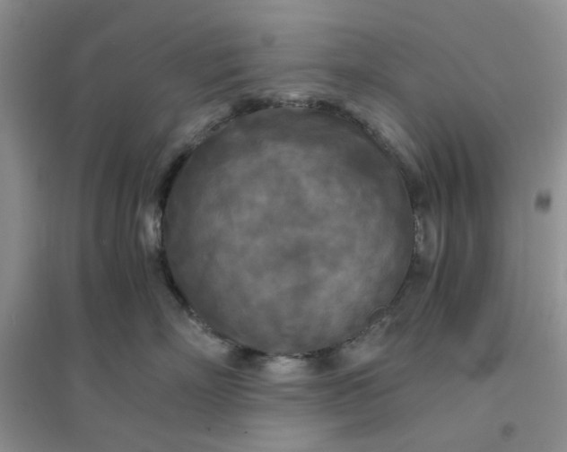 X0000096380718200802071513