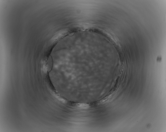 X0000096380719200802071513