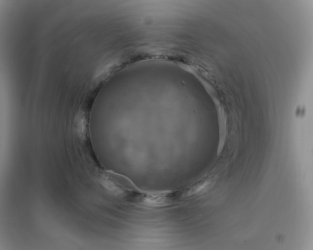 X0000096380720200802071513