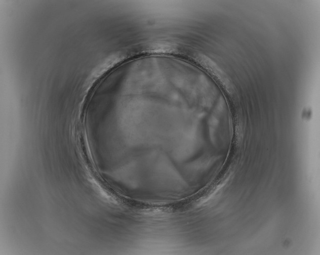 X0000096380721200802071512