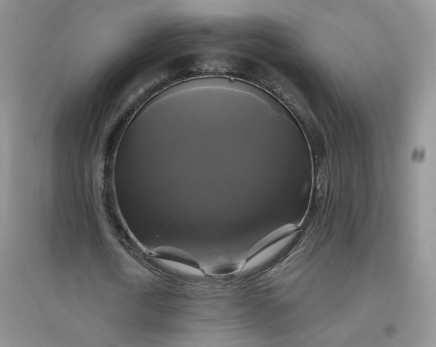 X0000096380722200802071512