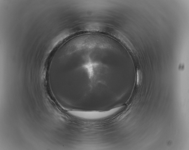 X0000096380723200802071512