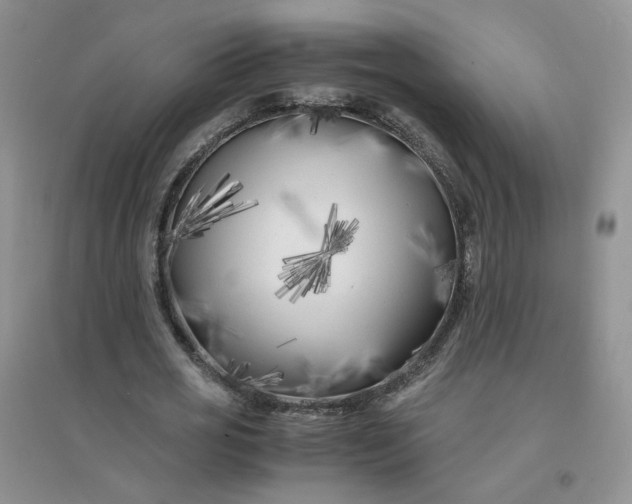 X0000096380725200802071512