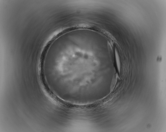 X0000096380726200802071512