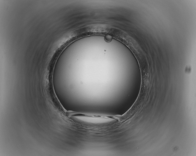 X0000096380727200802071512