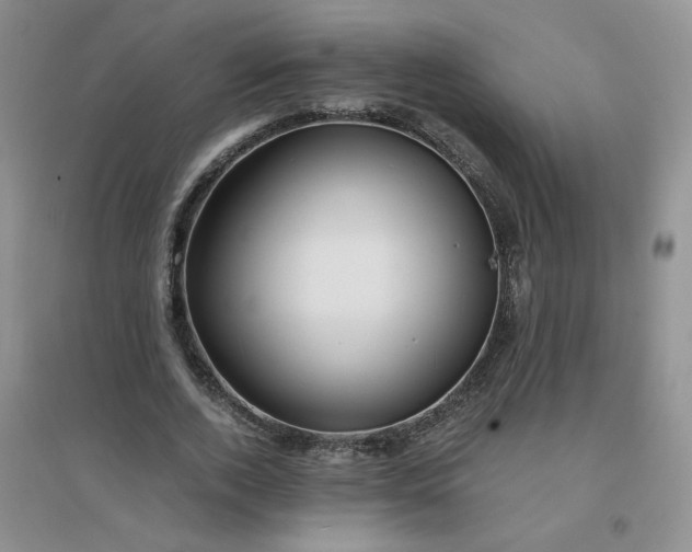 X0000096380728200802071512