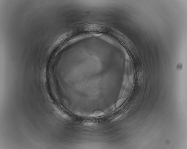 X0000096380729200802071512