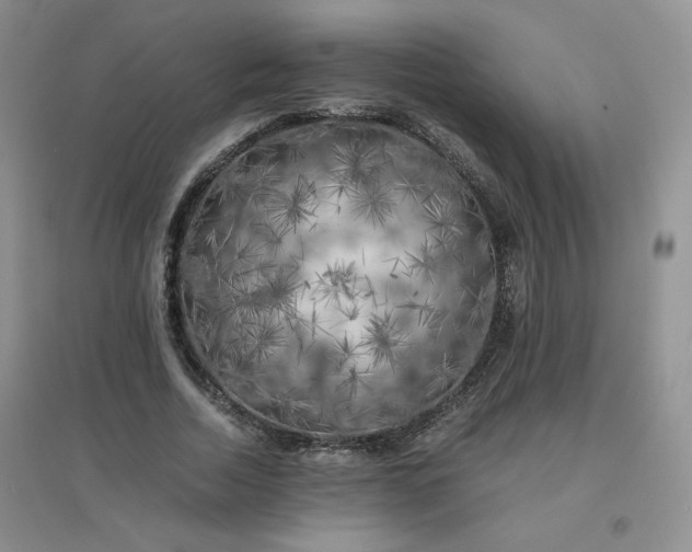 X0000096380730200802071512