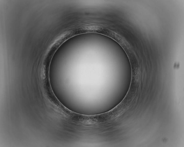 X0000096380731200802071512