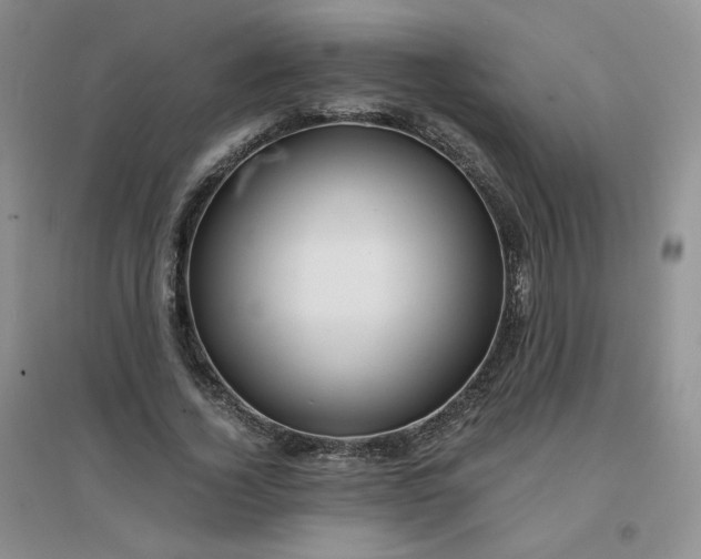 X0000096380732200802071512