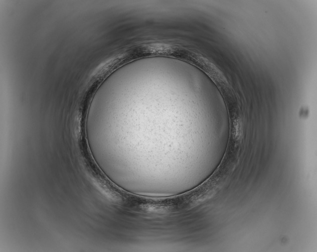 X0000096380733200802071512