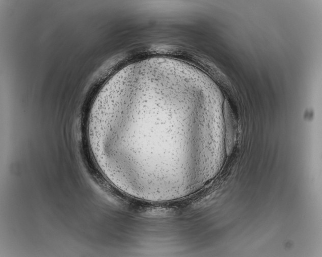 X0000096380734200802071512