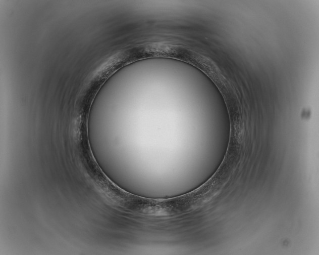 X0000096380735200802071512