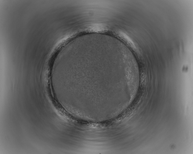 X0000096380736200802071512