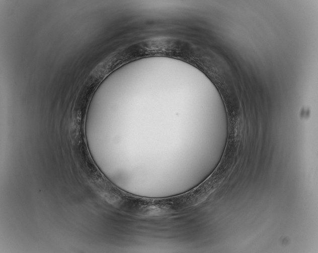 X0000096380737200802071512