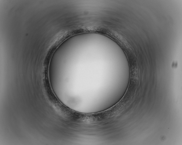 X0000096380738200802071512