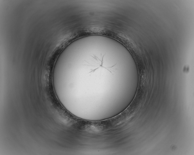 X0000096380739200802071512