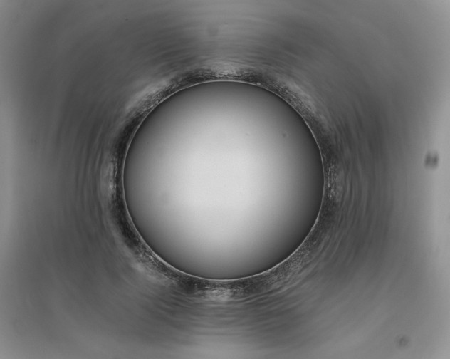 X0000096380740200802071512