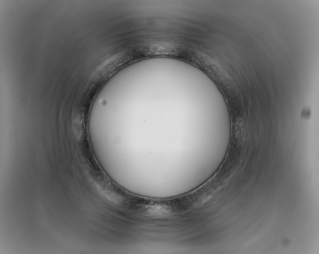 X0000096380741200802071512