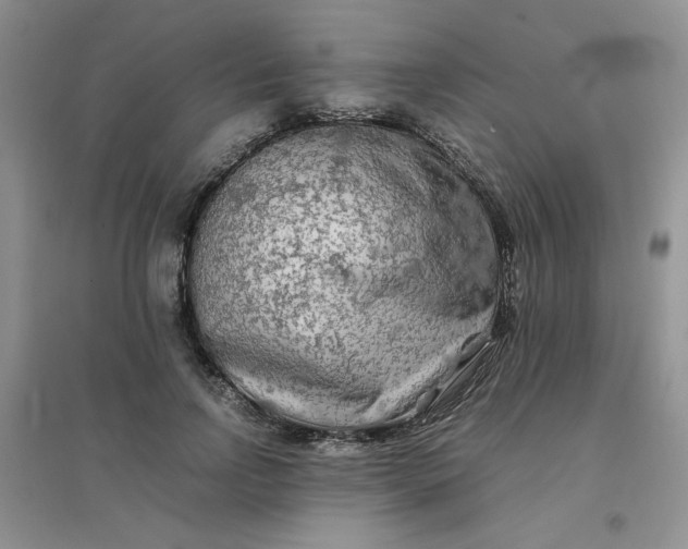 X0000096380742200802071512