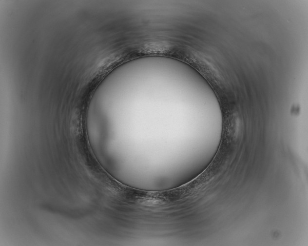 X0000096380743200802071513