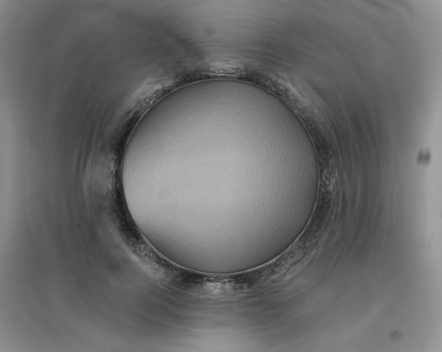 X0000096380744200802071513