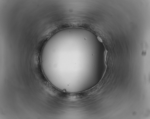 X0000096380746200802071513