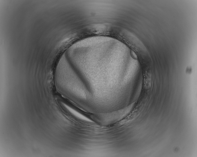 X0000096380748200802071513