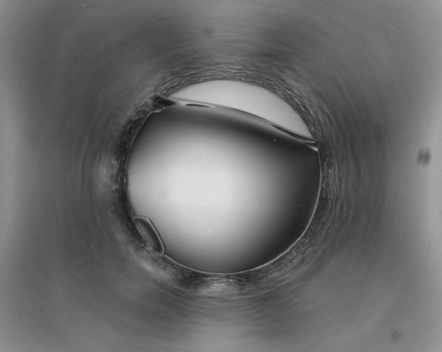 X0000096380750200802071513