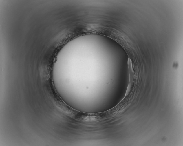 X0000096380751200802071513