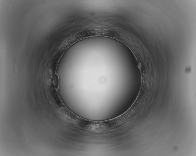 X0000096380752200802071513