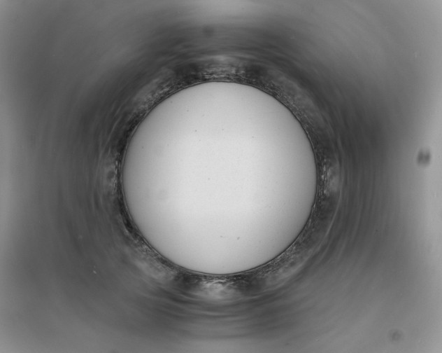 X0000096380753200802071513