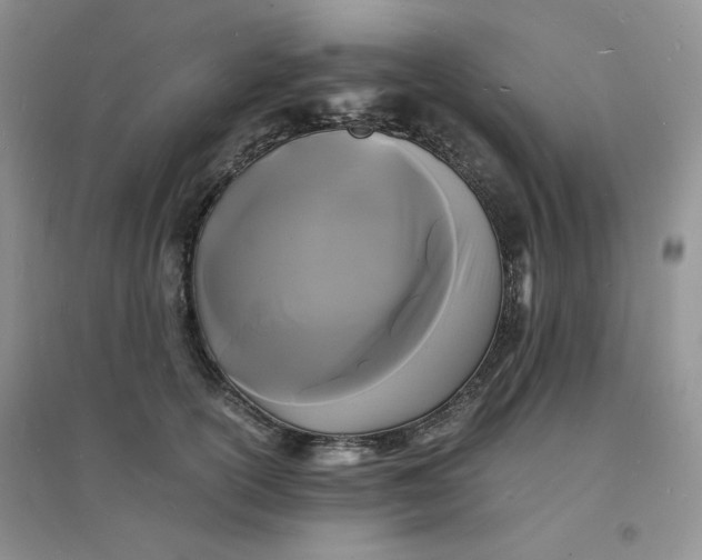 X0000096380754200802071513