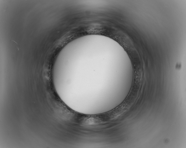 X0000096380755200802071513