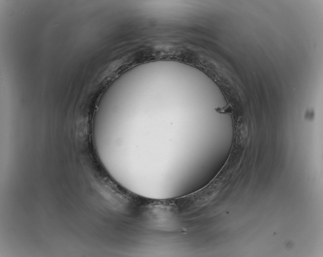 X0000096380756200802071513