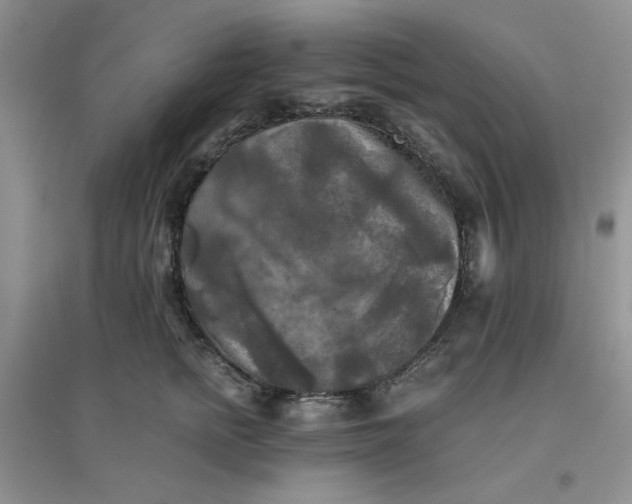 X0000096380758200802071513